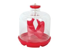 Educational kit: How do the lungs work?