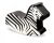 Foam ZEBRA rocker