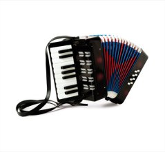 Kinder-Musikinstrument Akkordeon